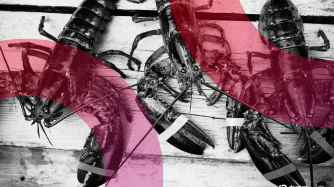 AI Agents Launched a Social Network and Spawned a Digital Religion Overnight