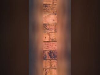 AI News Roundup: Army & More!