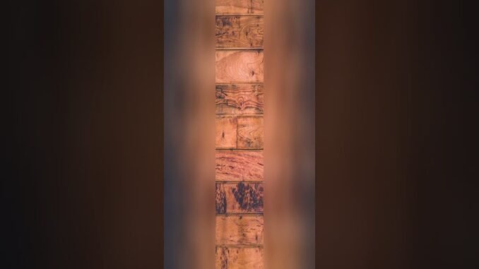 AI News Roundup: Army & More!