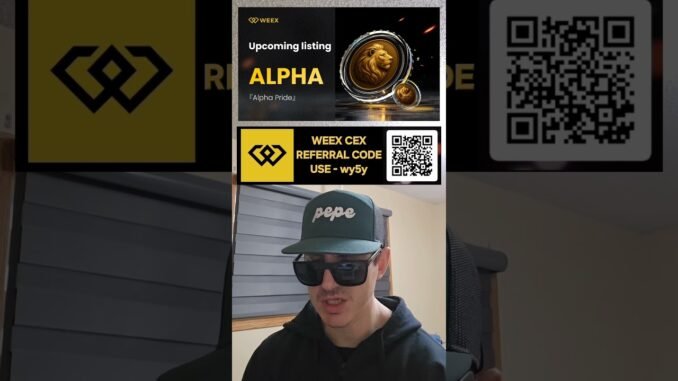 $ALPHA - ALPHA PRIDE TOKEN CRYPTO COIN HOW TO BUY WEEX CEX BNB BSC BINANCE BLOCKCHAIN PANCAKESWAP