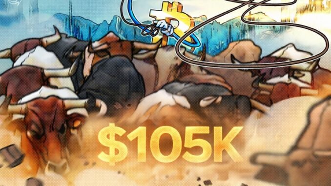 Bitcoin Can Hit $105,000 in Weeks Based on RSI Signals, Says Trader