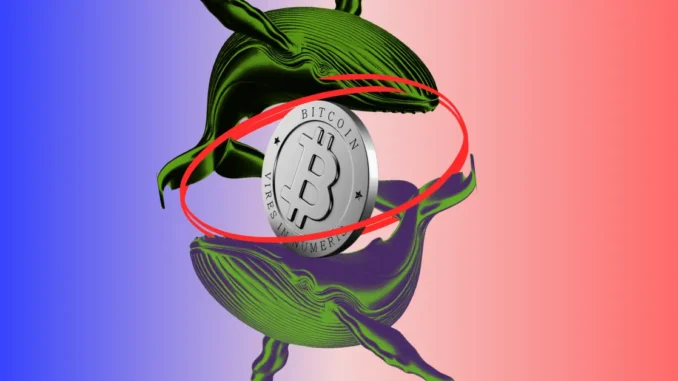 Bitcoin Whale Selling Pressure Drops Sharply as Binance Inflows Collapse Coinpedia - Fintech & Cryptocurreny News Media