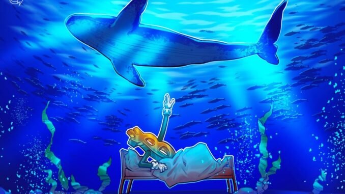 Bitcoin Whales Drop BTC Longs in New Bull Signal