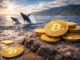 Bitcoin's path to $100k ignites as institutions fortify positions