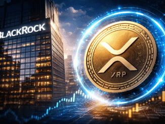 BlackRock XRP ETF Next? Canary CEO Eyes Late 2026