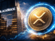 BlackRock XRP ETF Next? Canary CEO Eyes Late 2026