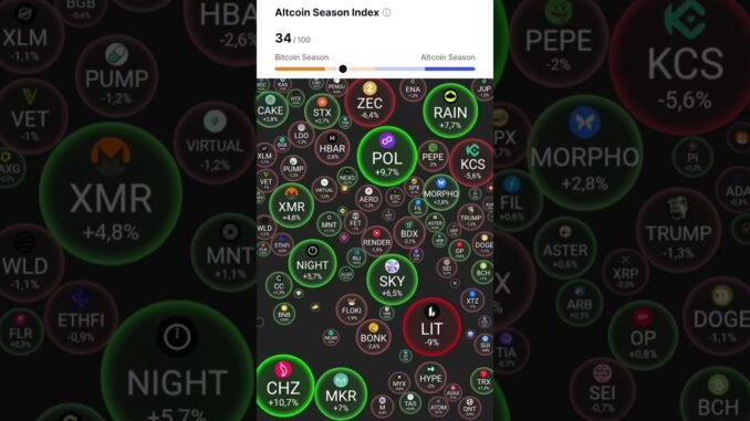 Cập nhật thị trường ngày 11/1/2026