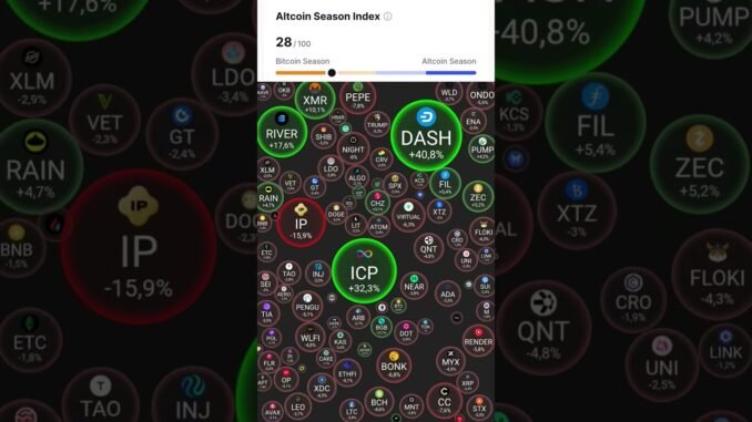 Cập nhật thị trường ngày 15/1/2026