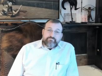 Cardano news Hoskinson