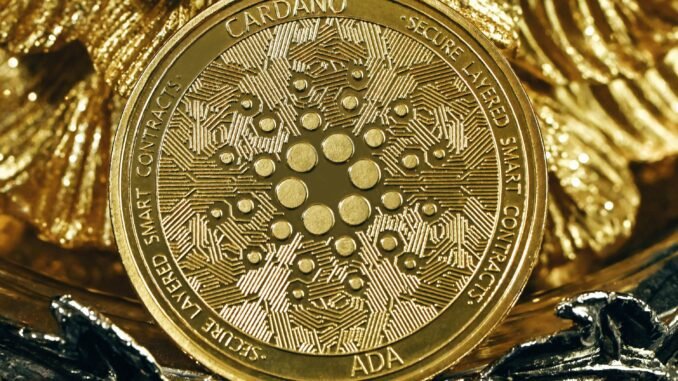 Cardano Teams Up With Grant Thornton to Launch Comprehensive Financial Cardano