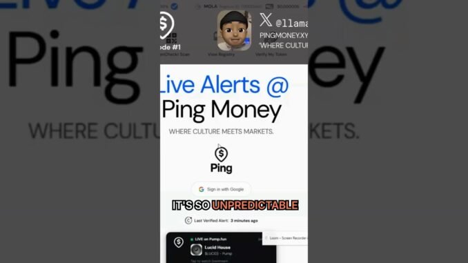 Checking Trading View & DexScreener Charts from PingMoney.xyz