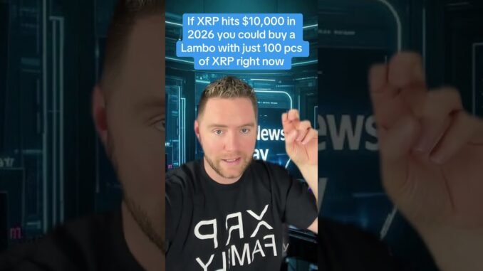 Connect and secure on the web3 safe decentralized wallet.