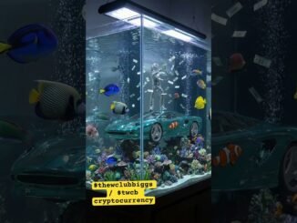 Content creator coin cryptocurrency $thewclubbiggs on zora & $twcb on pumpfun . Cryptocurrencies