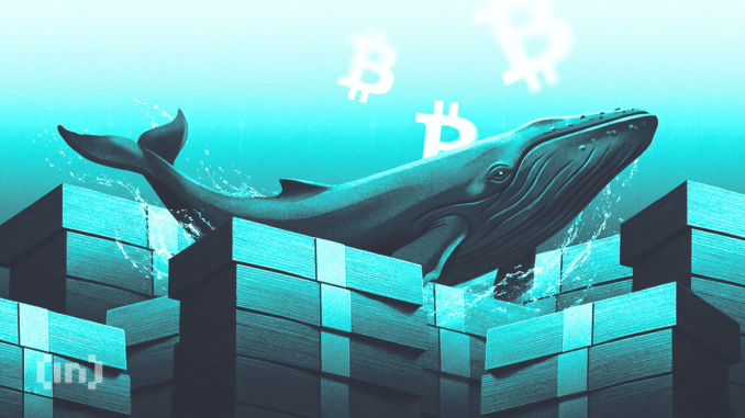 Crypto Whales Buy and Sell These 3 Tokens Ahead of Crypto Whales Buy and Sell These 3 Tokens Ahead of US CPI Data