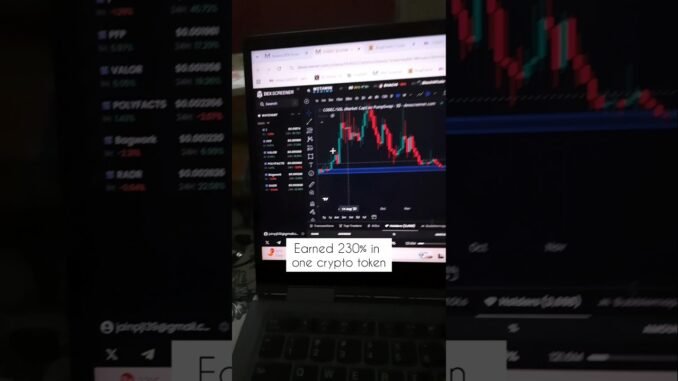 Earned 230% in one crypto project #cryptotrading #dexscreener