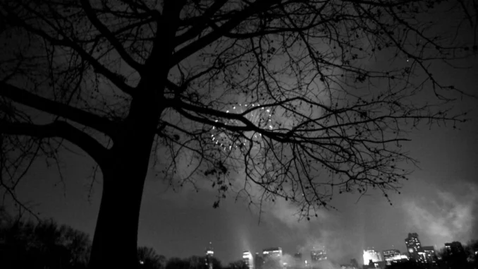 First Insight brings conversational AI in retail First Insight brings conversational AI in retail