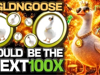 $GLDNGOOSE ON SOLANA COULD BE THE NEXT 100X!!!