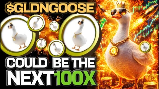 $GLDNGOOSE ON SOLANA COULD BE THE NEXT 100X!!!