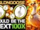 $GLDNGOOSE ON SOLANA COULD BE THE NEXT 100X!!!