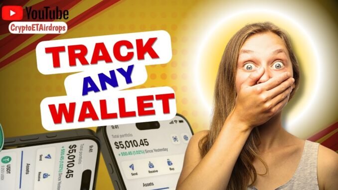 How to track a Web3 Wallet in Sec