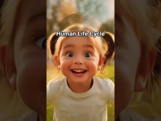 Human Life cycle #shorts #shortsfeed #age #life #grok #ai