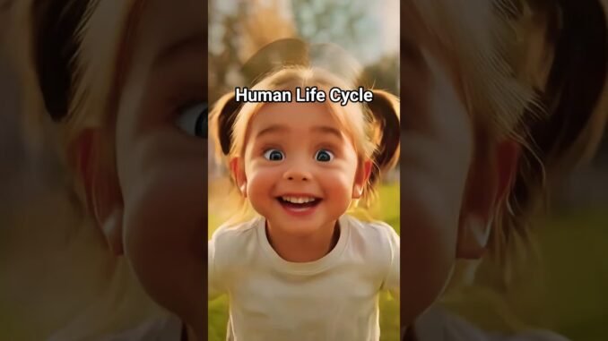 Human Life cycle #shorts #shortsfeed #age #life #grok #ai