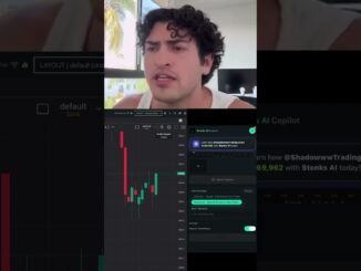 In this video, I test the Stonks AI trading app
