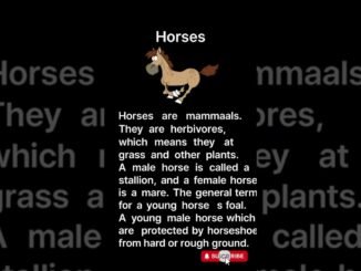 Learn English for Beginners #ai #learn #short #english #viral