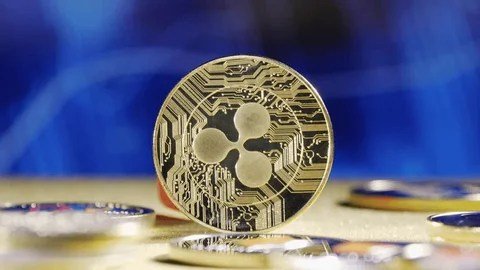 Major Reasons Why The XRP Price Could Recover And Surge XRP