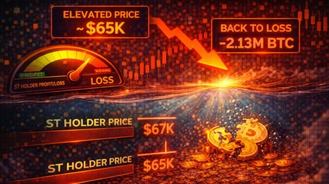 Short-Term Bitcoin Holders Return To Losses Despite Elevated Price Levels – Details