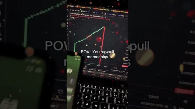 The Truth About Meme Coin Rug Pull  #solana #pumpfun #cryptocurrency #memecoin