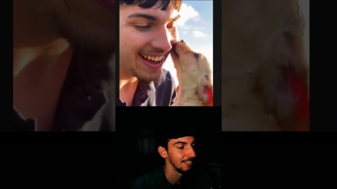 Watch this n8n AI workflow generate a funny sora 2 video of me with puppies.