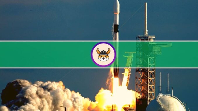 Whales Can't Get Enough of Meme Coins as FLOKI Explodes Whales Can't Get Enough of Meme Coins as FLOKI Explodes 950%