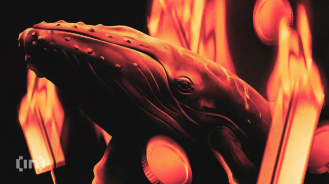 What Are Ethereum Whales Doing as ETH Remains Below $3,000? What Are Ethereum Whales Doing as ETH Remains Below $3,000?