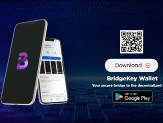 What Is BridgeKey Wallet? | Secure Web3 Wallet with USDC.e Support 🚀