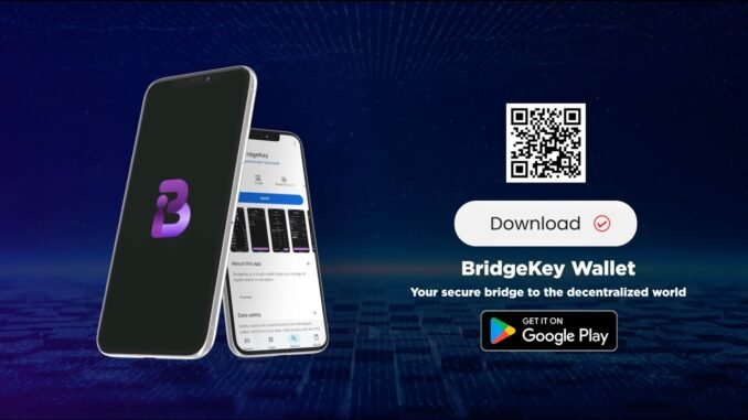 What Is BridgeKey Wallet? | Secure Web3 Wallet with USDC.e Support 🚀