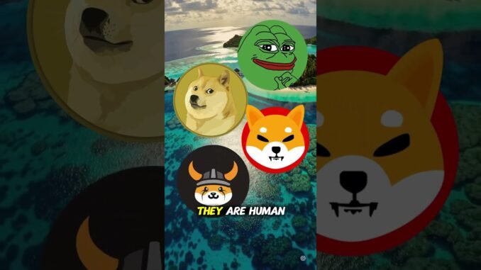 What's the next PEPE DOGE meme coin? KIBSHI