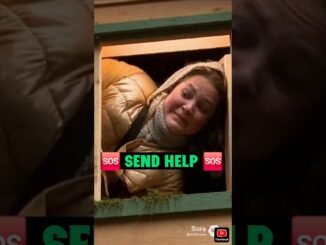 Why was a 'cougar' in a tree house? Fake Sora Ai News #aishorts