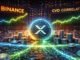XRP Trend Still Coherent On Binance As CVD Correlation Remains Supportive