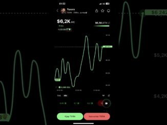 check out tuxara coin in pump.fun no recommendation just for fun
