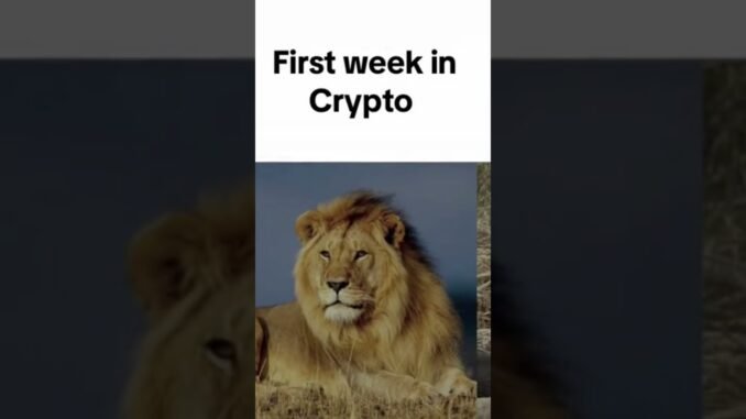 trench with us in our memecoin group above #foru #btc #foru #pumpfun #cryptok #solana #memecoin