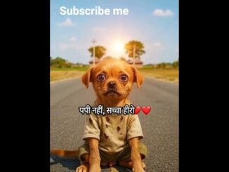 पपी नही.सच्चा हिरो #animal video #grok AI