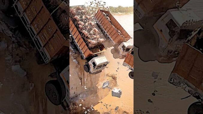 😅भैस#funny #comedy #automobile #news #memes #entertainment #ai cartoon#aivideo#lifeisbutadream#shot