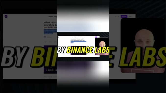 AI Crypto Trading Velvet Raises $3.7M! 🚀#trading #podcast