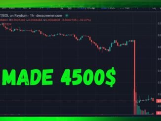 Best PumpFun Bundler Tool | +3200$ Profit on This Launch