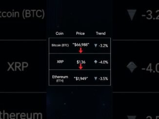 Bitcoin Market Comparison Feb 11 URDU | Bitcoin Market Update  Feb 11 #bitocoinandcryptonewsurdu