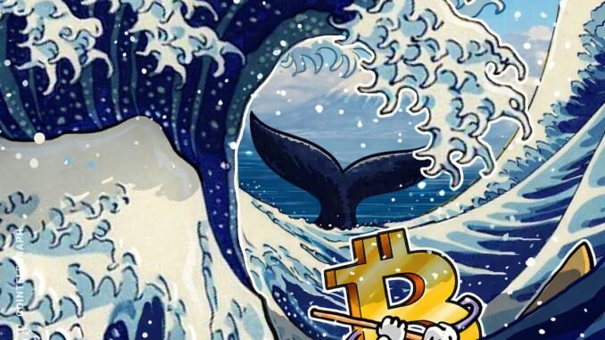 Bitcoin Price May Drop Another 20% Amid Alarming Whale Activity Bitcoin Price May Drop Another 20% Amid Alarming Whale Activity