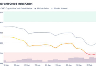 Bitcoin Price in Extreme Fear Zone, But Is This Time Different?