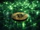 Bitcoin rallies on Nvidia’s monster quarter but its tech beta means the next AI scare hits harder