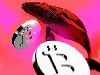 Bitcoin’s Sell-Off Reveals Deep Market Divides: Opportunity or Structural Vulnerability?